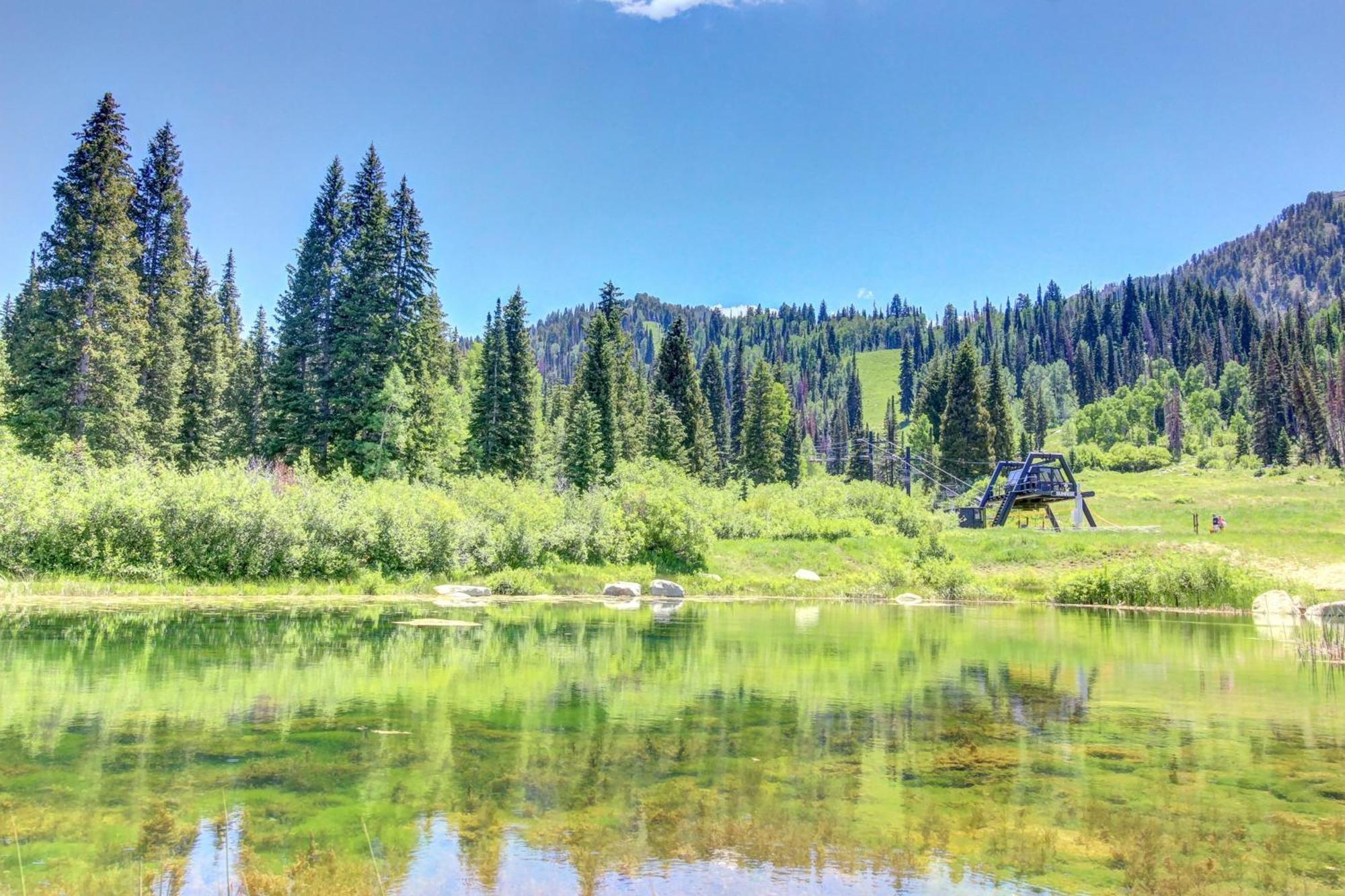 Eagle Springs East 315: Osprey Suite Solitude Exterior foto